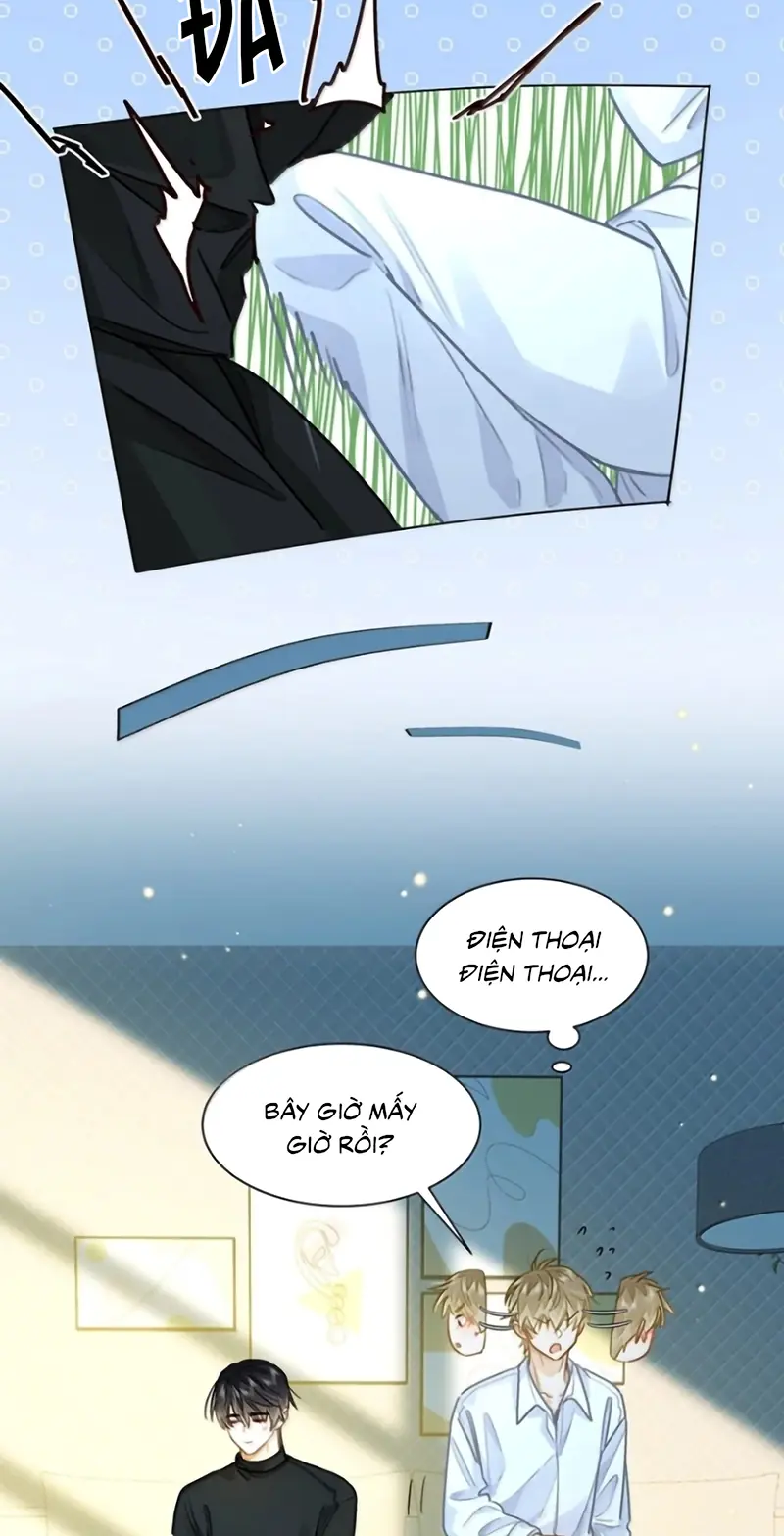 Tôi Thích Tin Tức Tố Của Cậu Chapter 98 - Trang 15