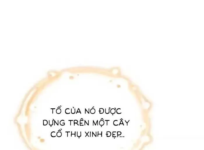 Tôi Trở Thành Hôn Thê Của Đại Công Tước Mù Chapter 11 - Trang 19