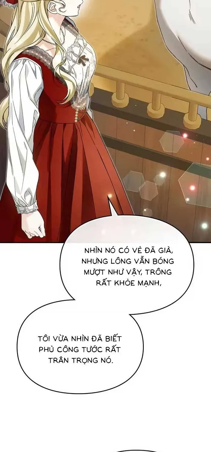 Tôi Trở Thành Hôn Thê Của Đại Công Tước Mù Chapter 21 - Trang 13