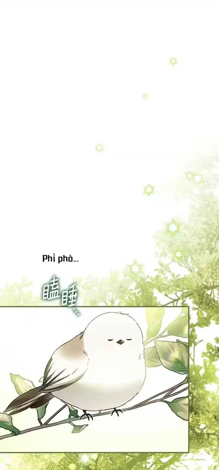 Tôi Trở Thành Hôn Thê Của Đại Công Tước Mù Chapter 8 - Trang 40