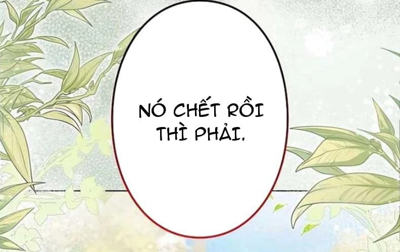 Tôi Trở Thành Nhân Vật Phụ Thê Thảm Trong Cuốn Tiểu Thuyết Chữa Lành Chapter 17 - Trang 3