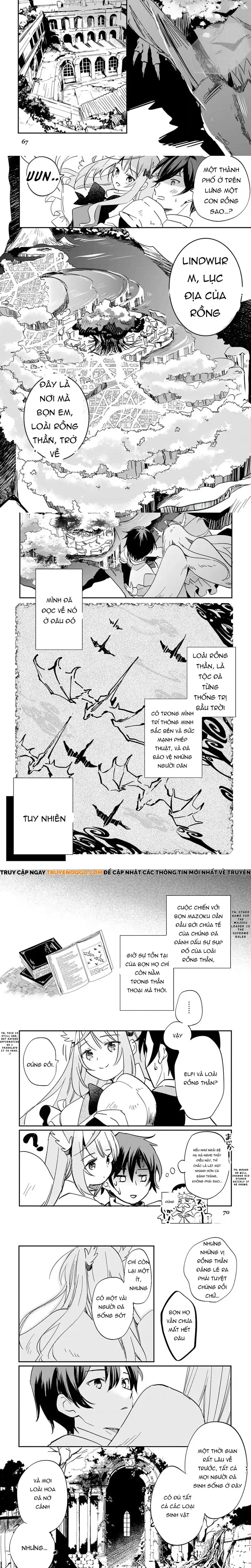 Tokage (Hontou Wa Shinryuu) Wo Shoukan Shita Seijuu Tsukai, Ryuu No Senaka De Kaitaku Life Chapter 1 - Trang 17