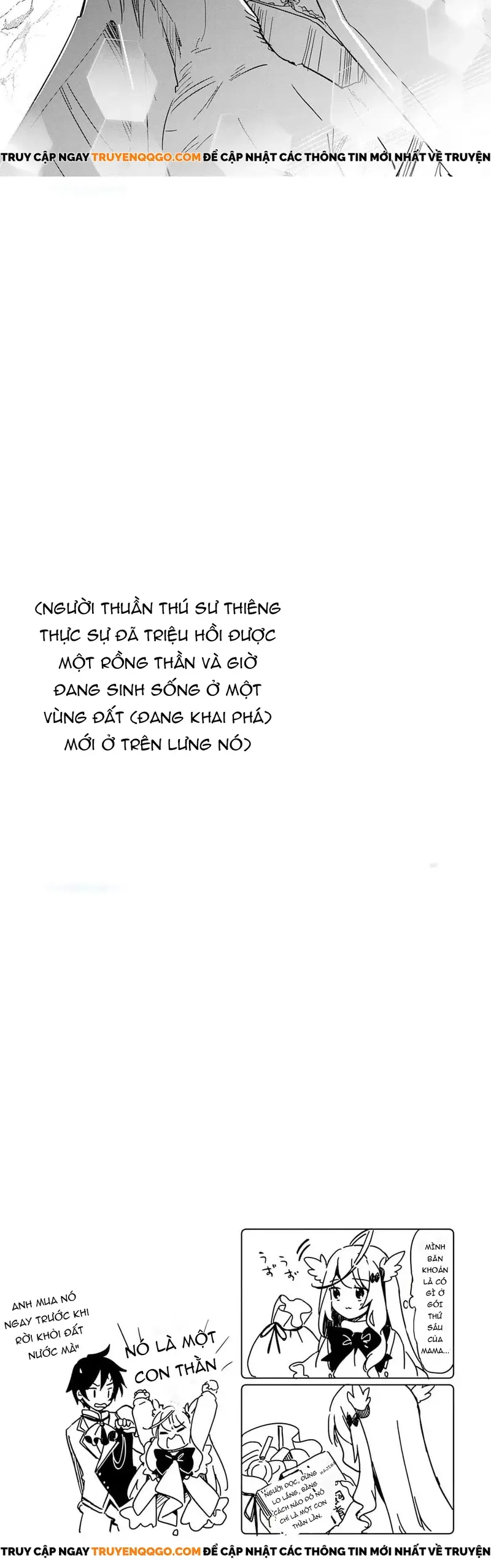 Tokage (Hontou Wa Shinryuu) Wo Shoukan Shita Seijuu Tsukai, Ryuu No Senaka De Kaitaku Life Chapter 1 - Trang 20