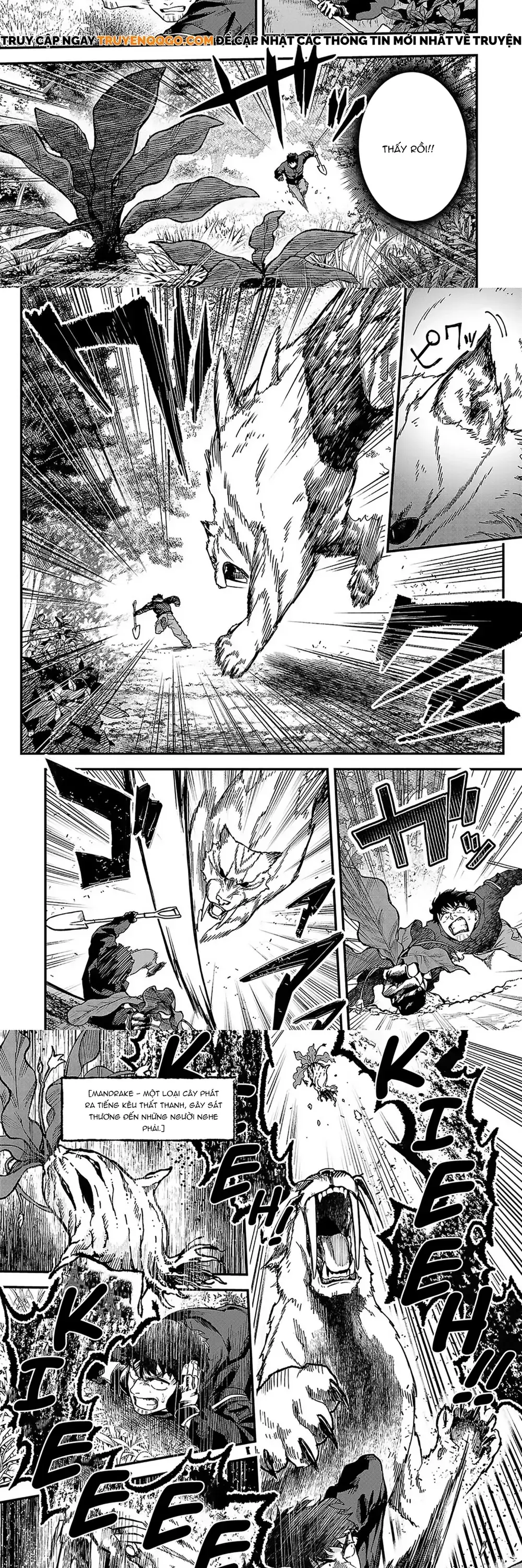 Tondeke Seiken Chapter 2 - Trang 10