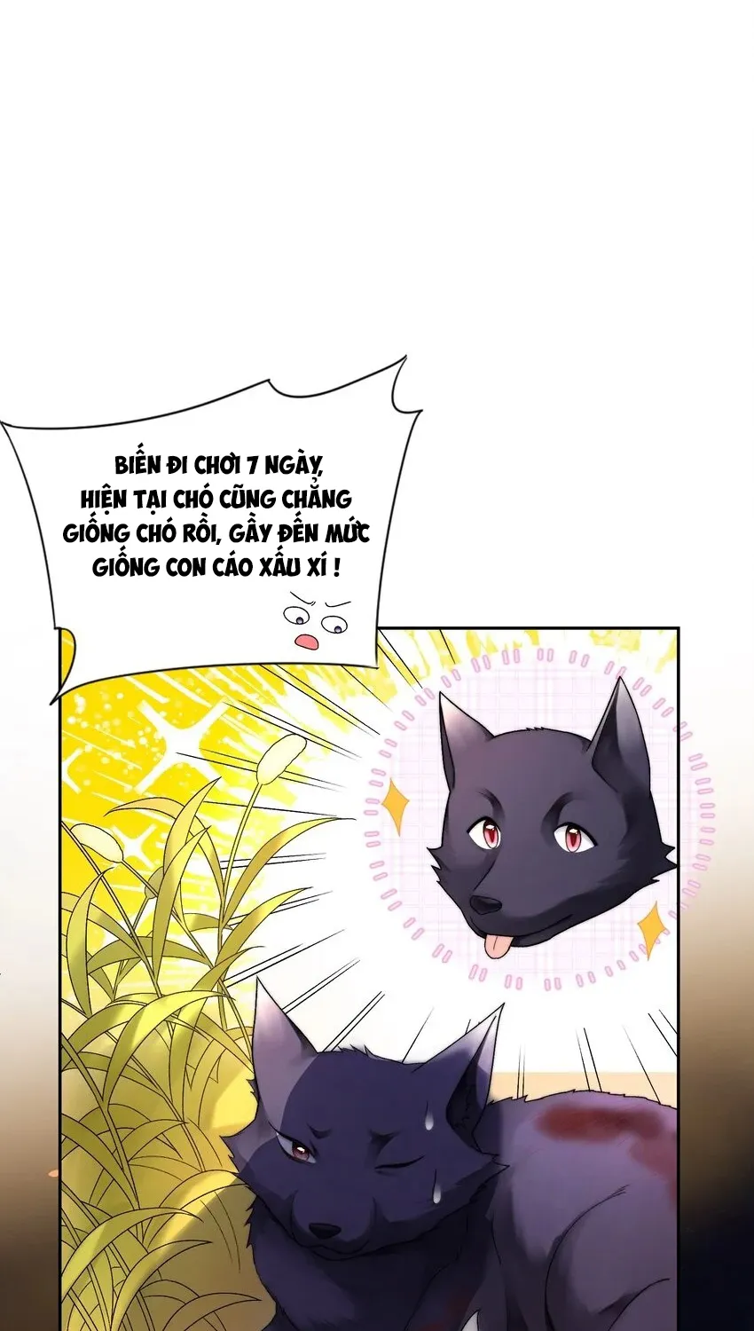 Tổng tài bá đạo, đầu óc anh ấy có vấn đề Chapter 1 - Trang 12
