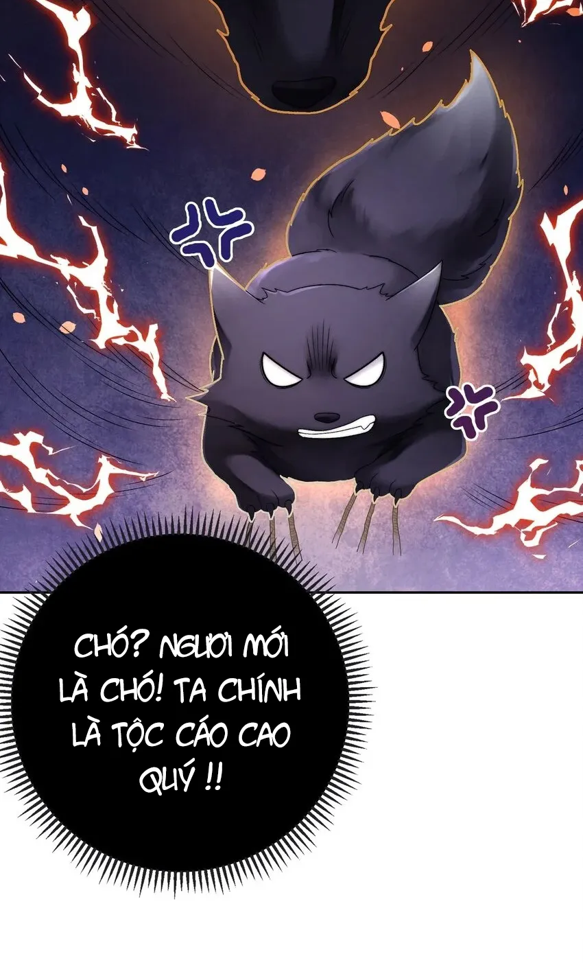 Tổng tài bá đạo, đầu óc anh ấy có vấn đề Chapter 1 - Trang 14