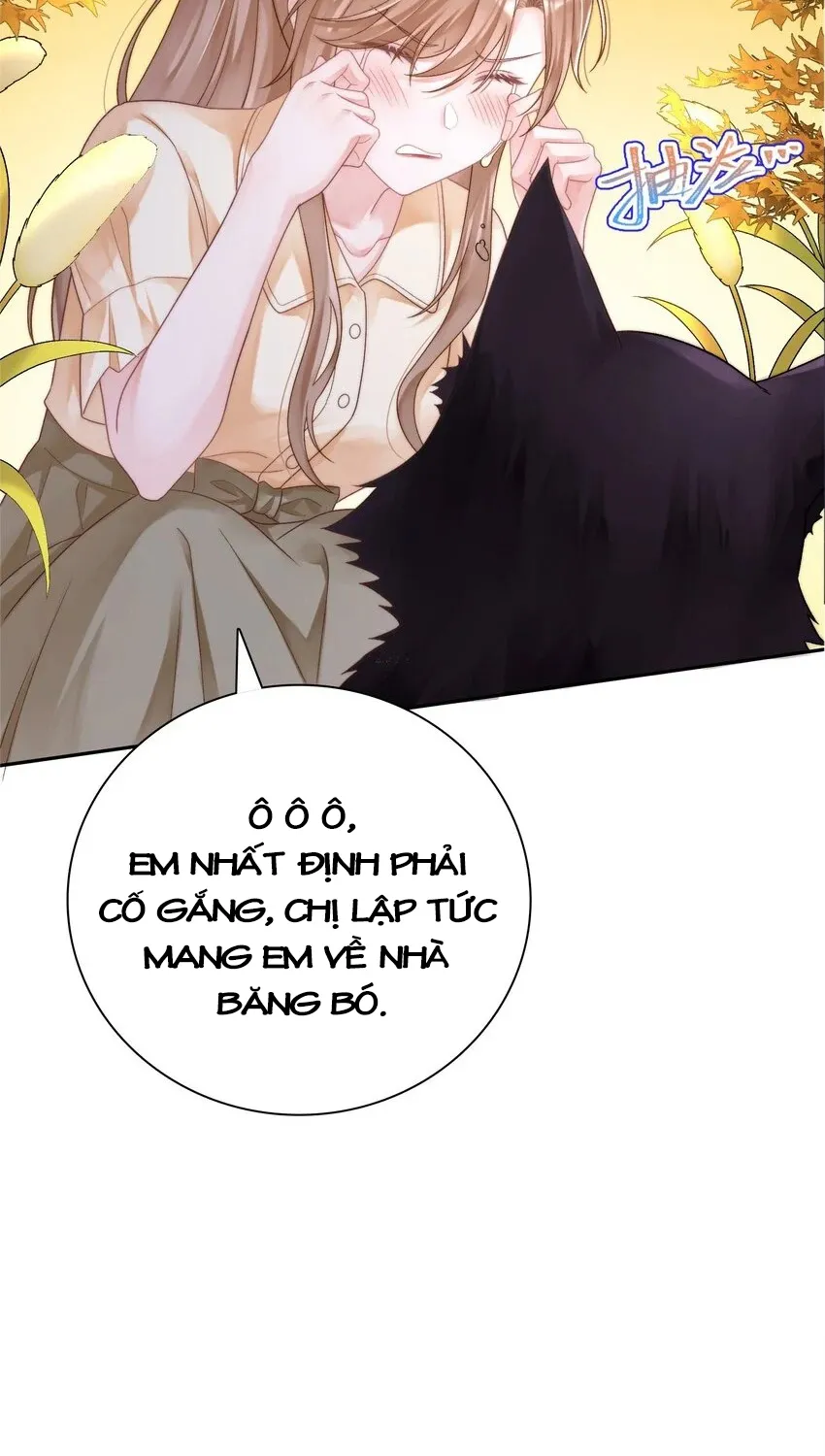 Tổng tài bá đạo, đầu óc anh ấy có vấn đề Chapter 1 - Trang 16