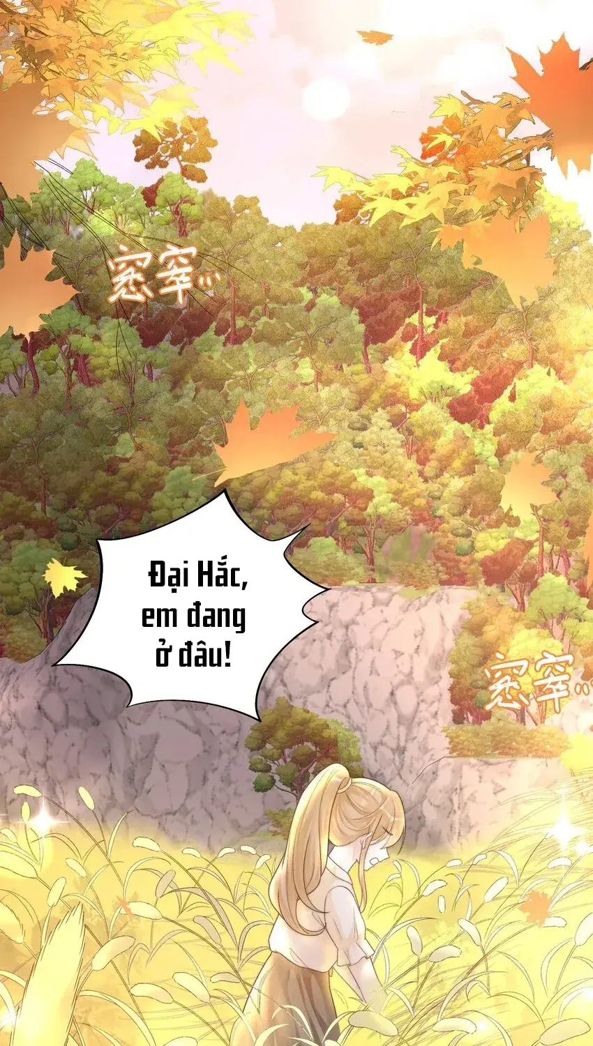 Tổng tài bá đạo, đầu óc anh ấy có vấn đề Chapter 1 - Trang 4