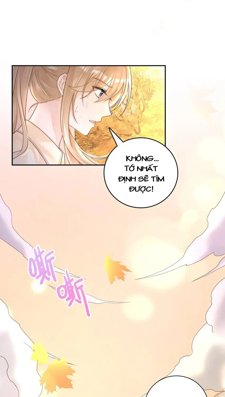 Tổng tài bá đạo, đầu óc anh ấy có vấn đề Chapter 1 - Trang 7