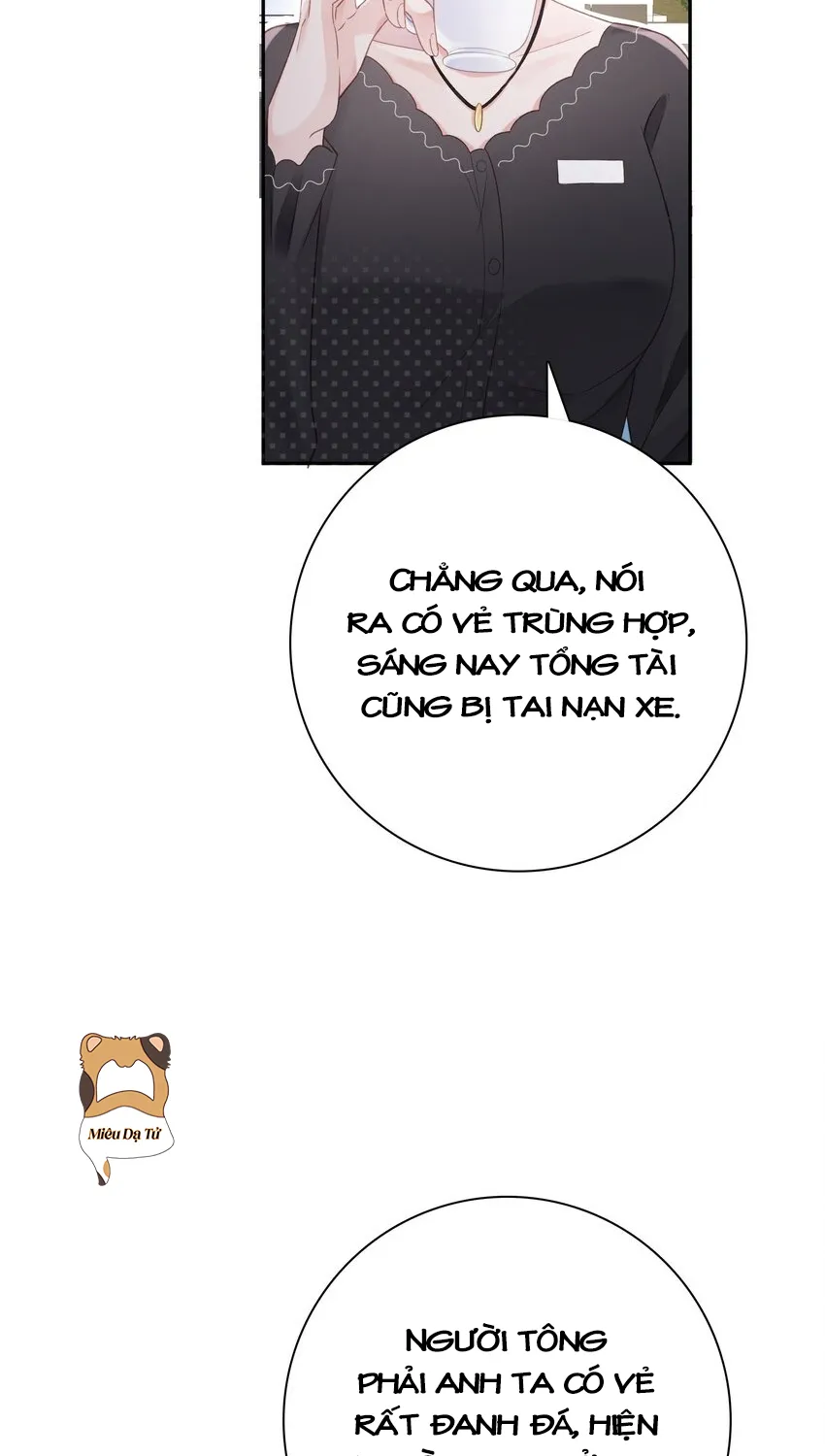Tổng tài bá đạo, đầu óc anh ấy có vấn đề Chapter 3 - Trang 40