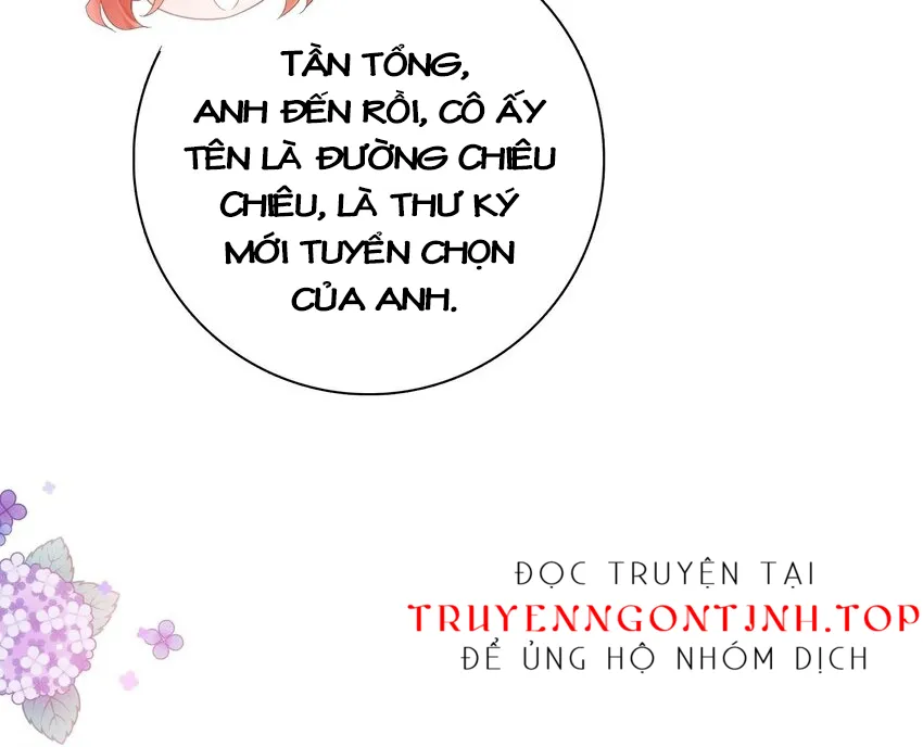 Tổng tài bá đạo, đầu óc anh ấy có vấn đề Chapter 3 - Trang 45