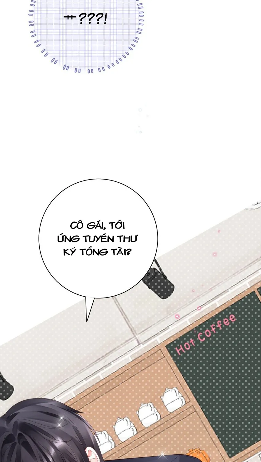 Tổng tài bá đạo, đầu óc anh ấy có vấn đề Chapter 3 - Trang 47