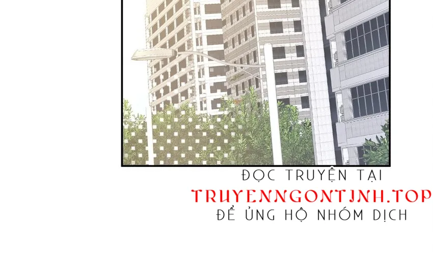 Tổng tài bá đạo, đầu óc anh ấy có vấn đề Chapter 3 - Trang 5