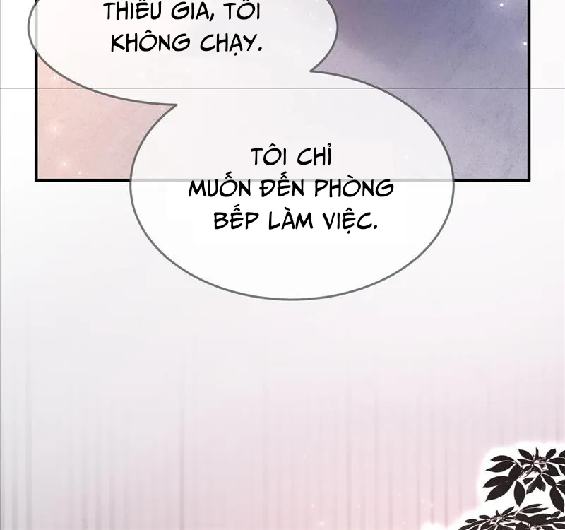 Tổng tài nghìn tỷ cưng chiều cô vợ thế thân Chapter 2 - Trang 12