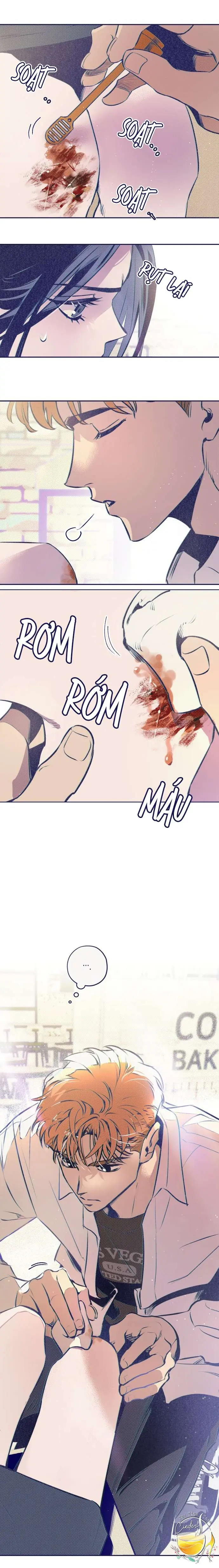 Trắc Nghiệm Bốn Lựa Chọn Chapter 3 - Trang 20