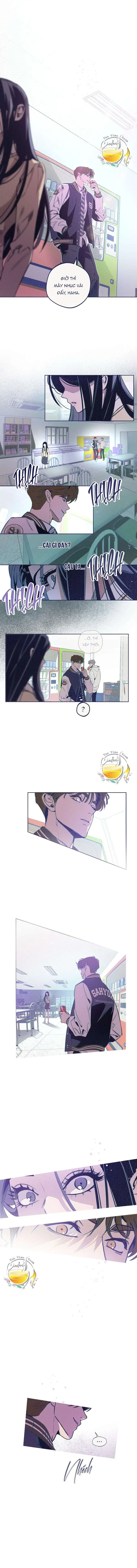 Trắc Nghiệm Bốn Lựa Chọn Chapter 6 - Trang 16