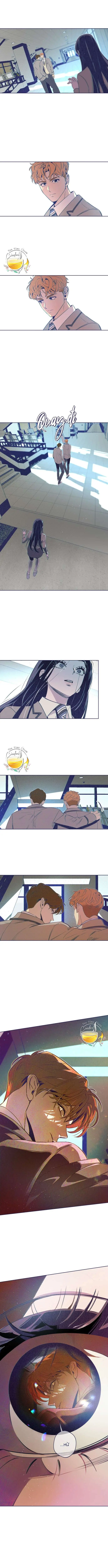 Trắc Nghiệm Bốn Lựa Chọn Chapter 8 - Trang 13