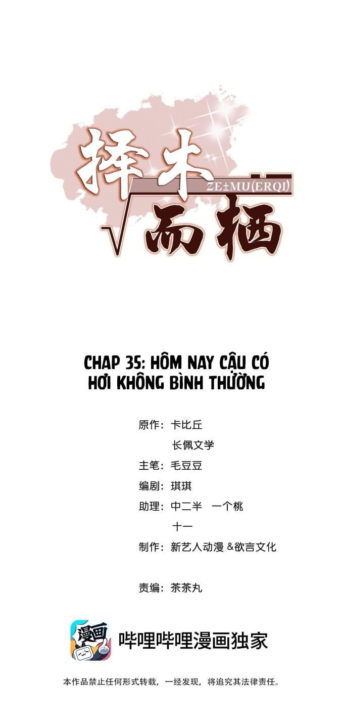 Trạch Mộc Nhi Tê Chapter 35 - Trang 3