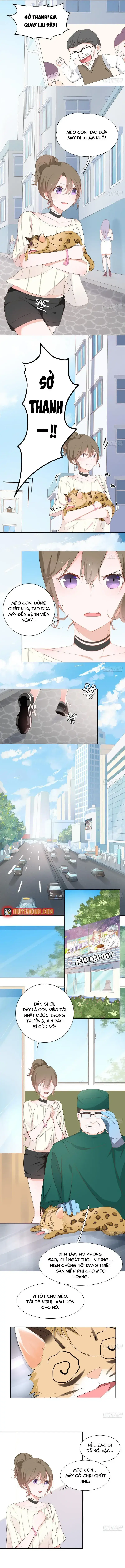 Trên Đời Không Có Mèo Tốt Chapter 1 - Trang 10