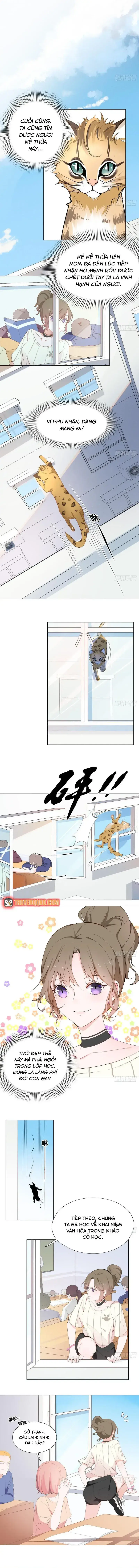 Trên Đời Không Có Mèo Tốt Chapter 1 - Trang 6