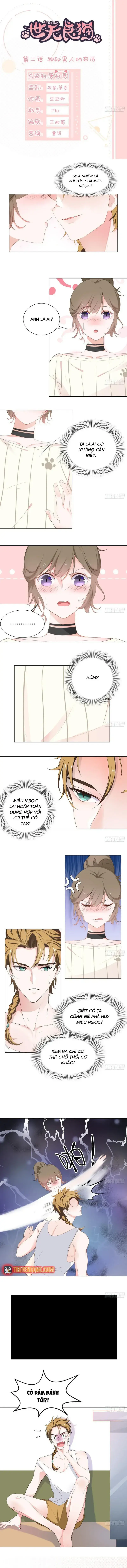 Trên Đời Không Có Mèo Tốt Chapter 2 - Trang 4