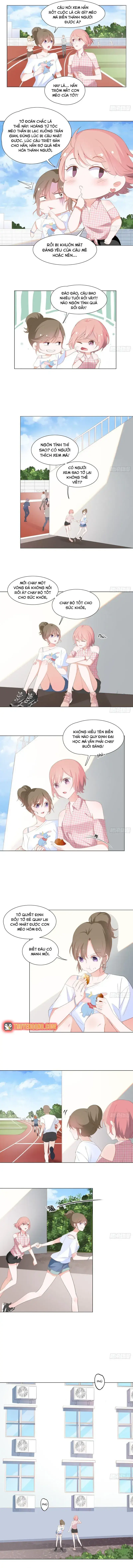 Trên Đời Không Có Mèo Tốt Chapter 2 - Trang 6