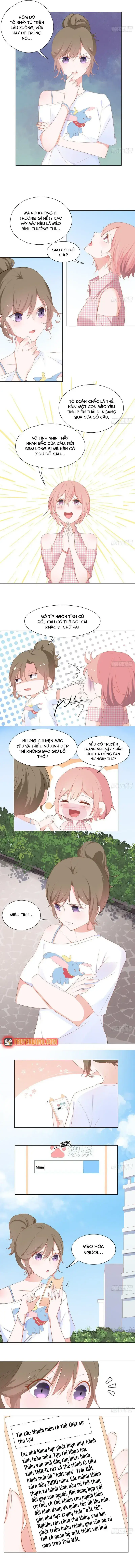 Trên Đời Không Có Mèo Tốt Chapter 2 - Trang 7