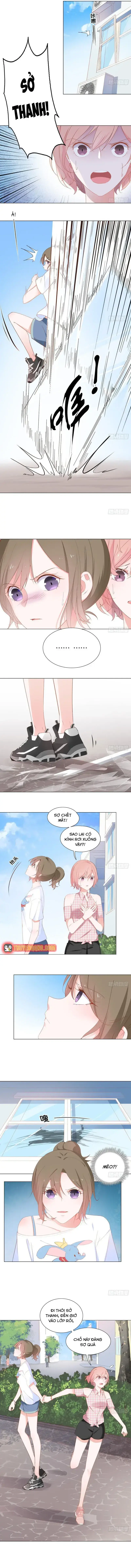 Trên Đời Không Có Mèo Tốt Chapter 2 - Trang 8