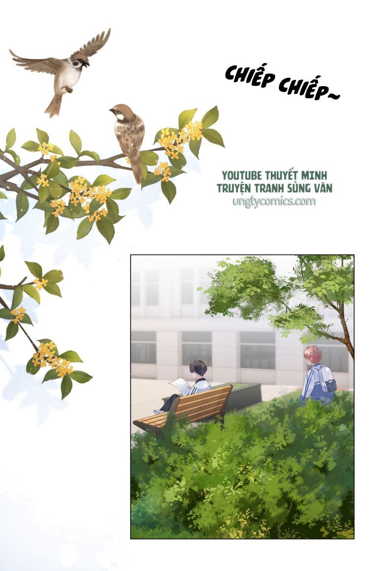 Tri Bỉ Chapter 10 - Trang 19