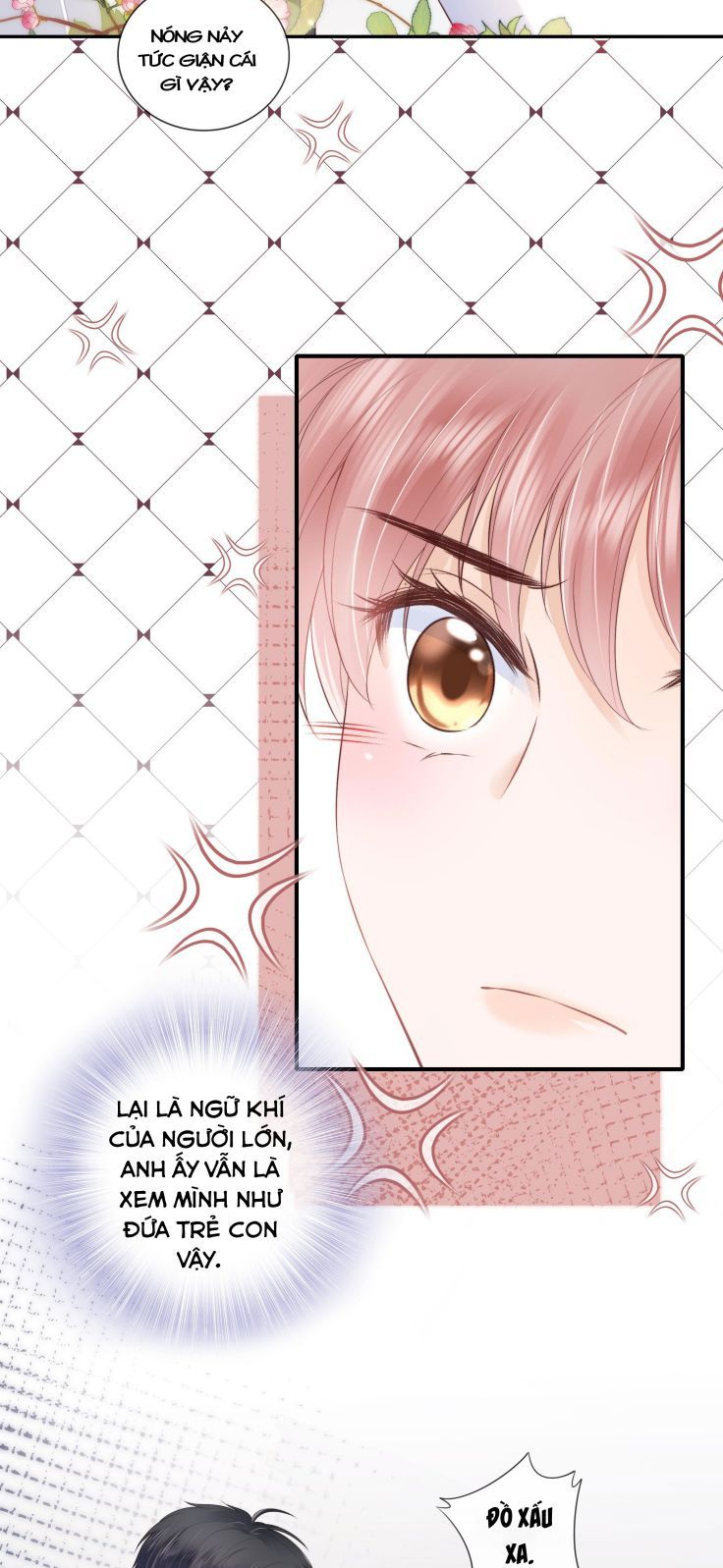 Tri Bỉ Chapter 17 - Trang 5