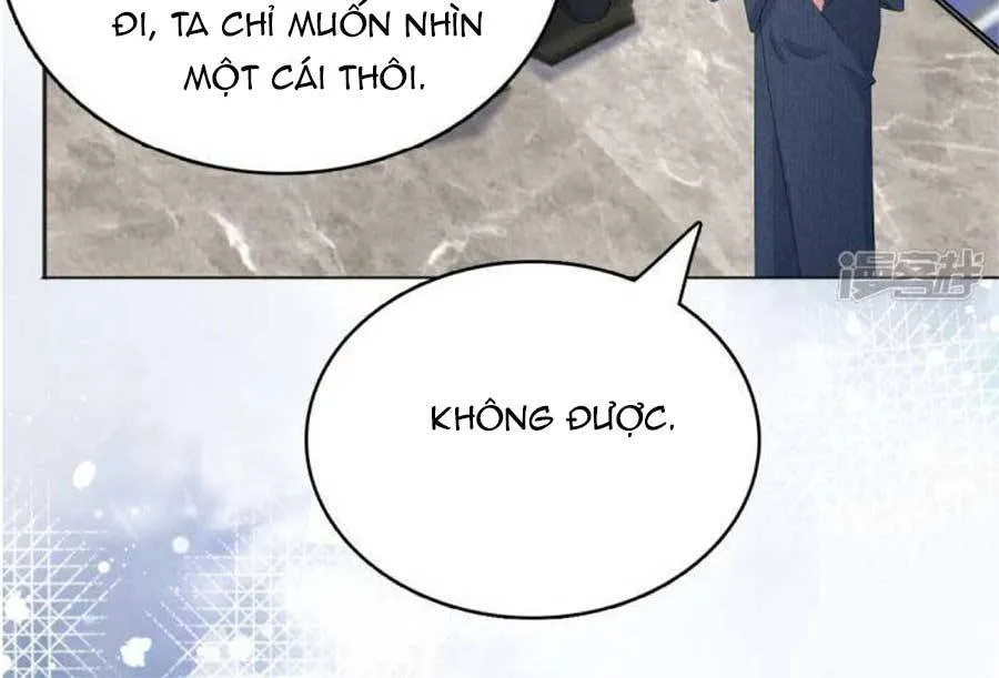 Trí Mạng Mị Thê: Tổng Tài Muốn Phục Hôn Chapter 102 - Trang 18