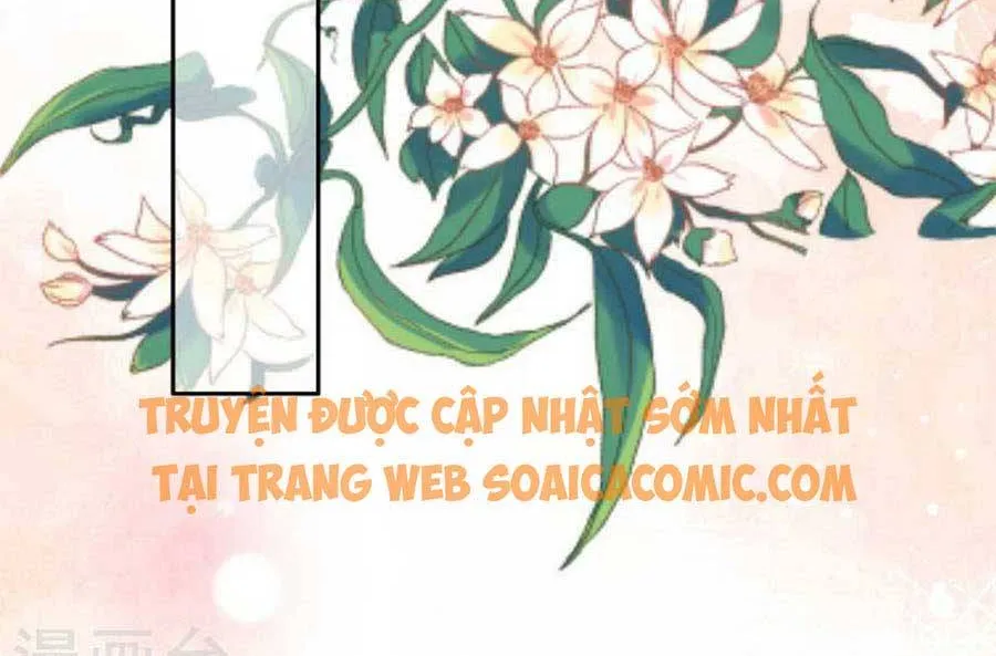Trí Mạng Mị Thê: Tổng Tài Muốn Phục Hôn Chapter 109 - Trang 9