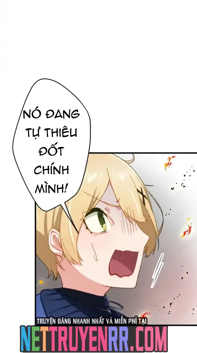 Trở Thành Bất Bại Bằng Kỹ Năng Cấp EX Chapter 3 - Trang 49