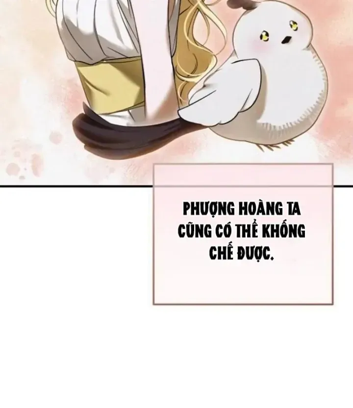 Trở Thành Rồng Nhỏ Chapter 13 - Trang 11