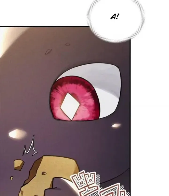 Trở Thành Rồng Nhỏ Chapter 13 - Trang 14