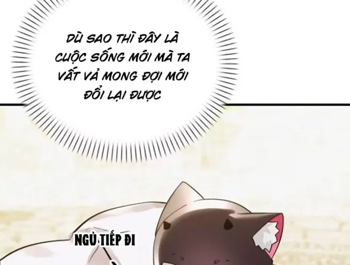 Trở Thành Rồng Nhỏ Chapter 20 - Trang 35