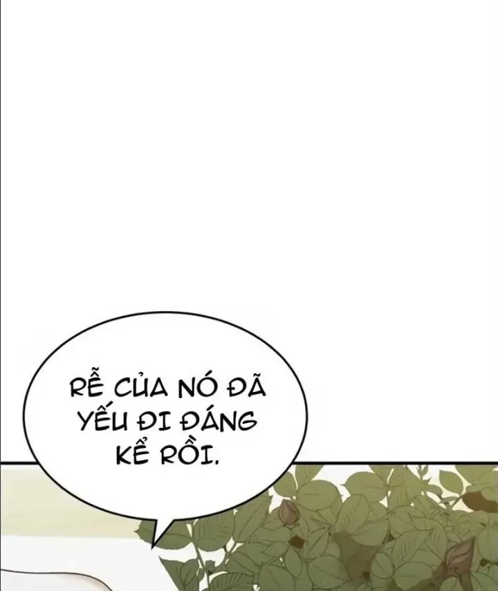 Trở Thành Rồng Nhỏ Chapter 23 - Trang 13