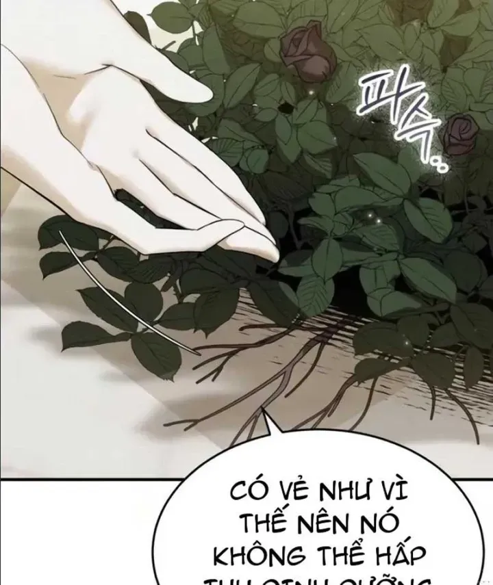 Trở Thành Rồng Nhỏ Chapter 23 - Trang 14