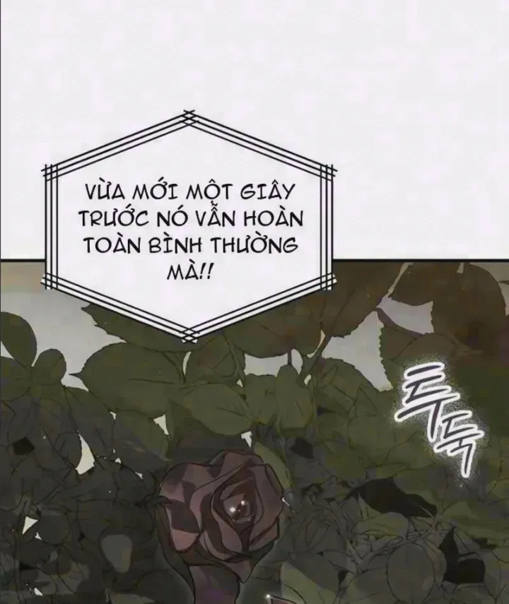 Trở Thành Rồng Nhỏ Chapter 23 - Trang 4