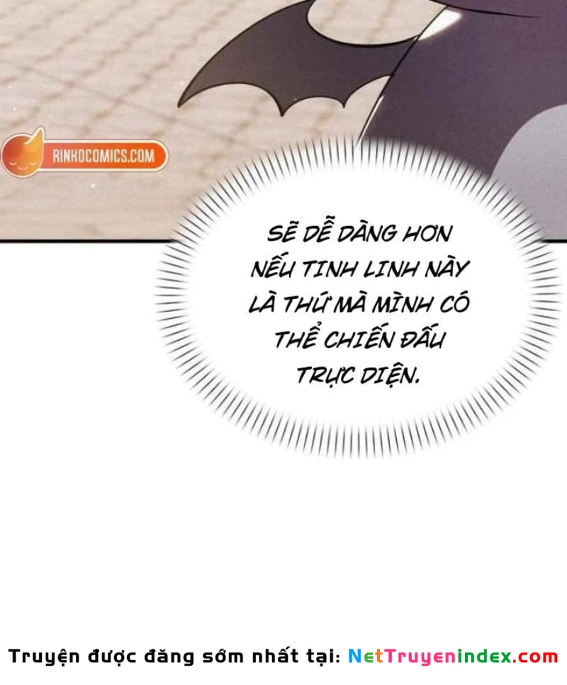 Trở Thành Rồng Nhỏ Chapter 3 - Trang 13