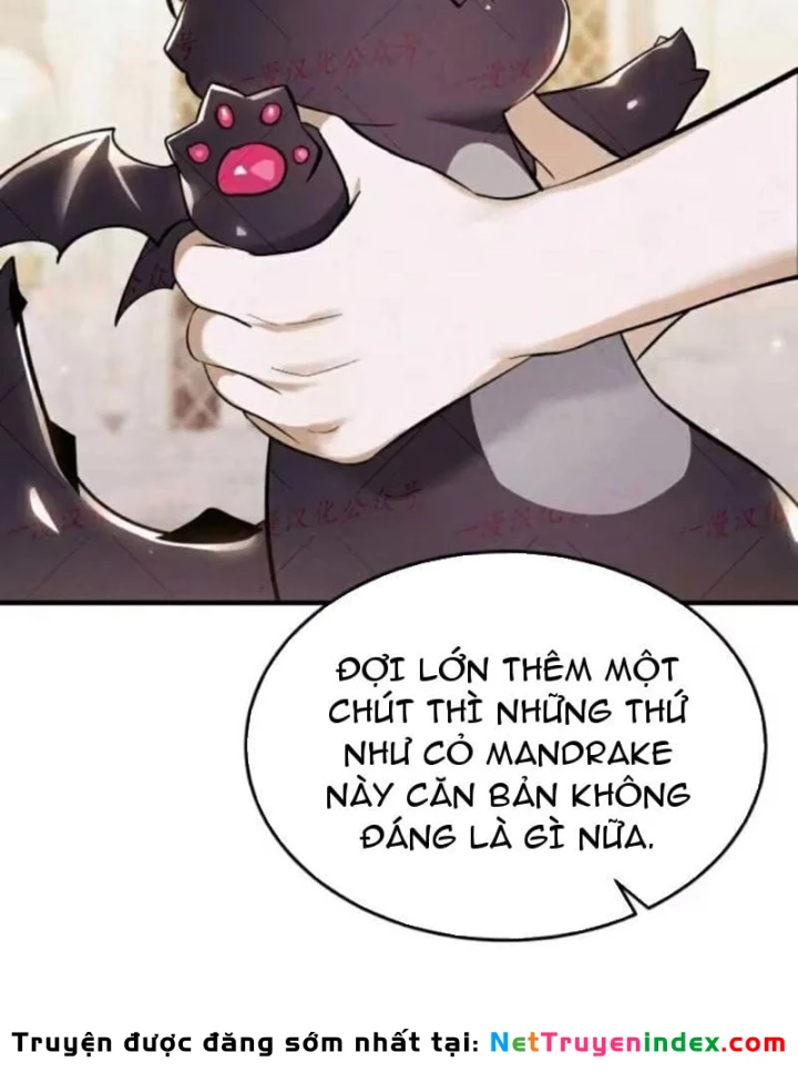 Trở Thành Rồng Nhỏ Chapter 9 - Trang 24