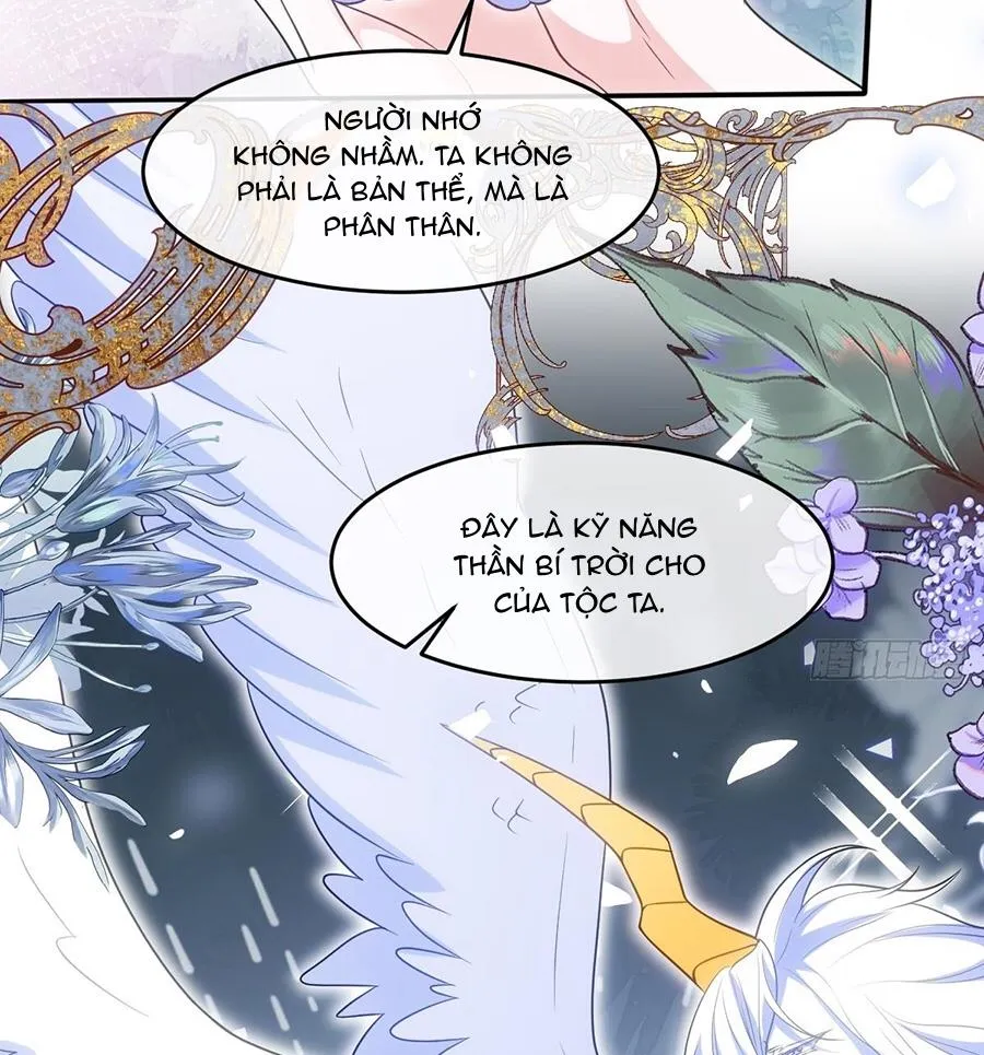Trở thành sủng vật, ta giết chóc khắp nơi Chapter 4 - Trang 8