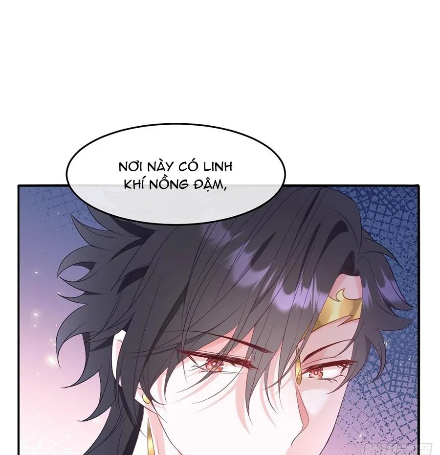 Trở thành sủng vật, ta giết chóc khắp nơi Chapter 5 - Trang 10