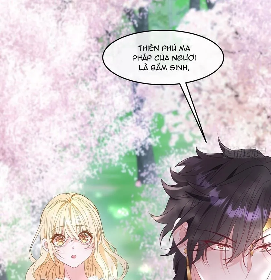 Trở thành sủng vật, ta giết chóc khắp nơi Chapter 5 - Trang 4