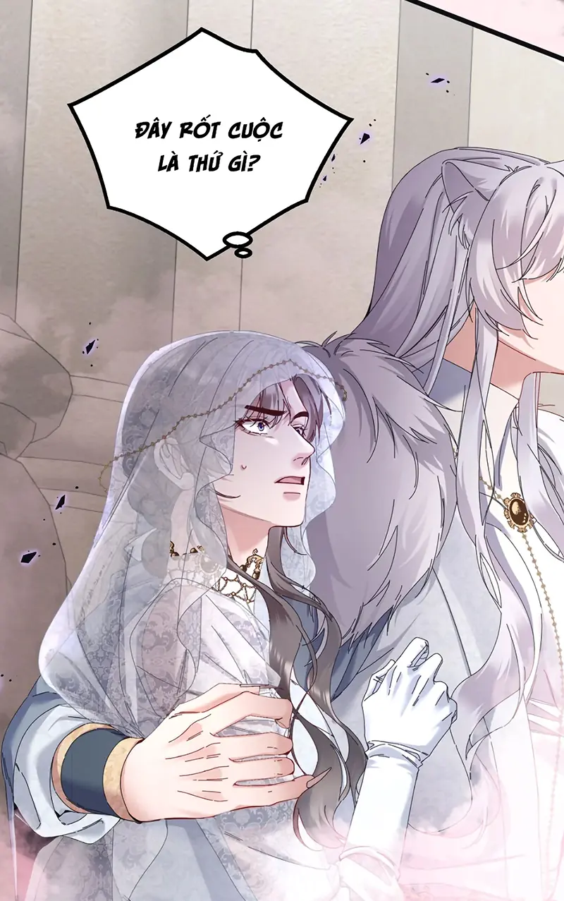 TRỞ THÀNH TÂN NƯƠNG THẾ GẢ CỦA BẠO QUÂN Chapter 11 - Trang 5