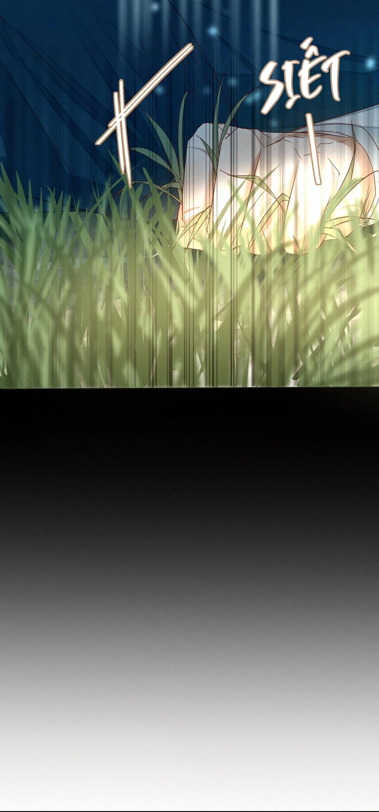 Trỗi Dậy Từ Tro Tàn Chapter 16 - Trang 11