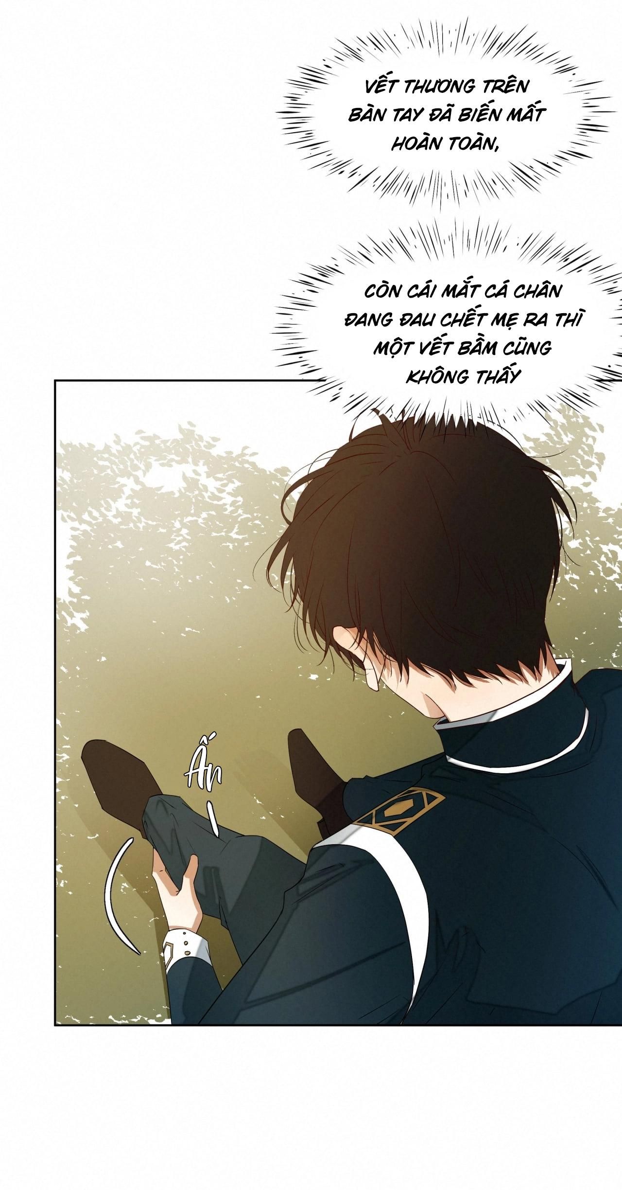 Trỗi Dậy Từ Tro Tàn Chapter 16 - Trang 13