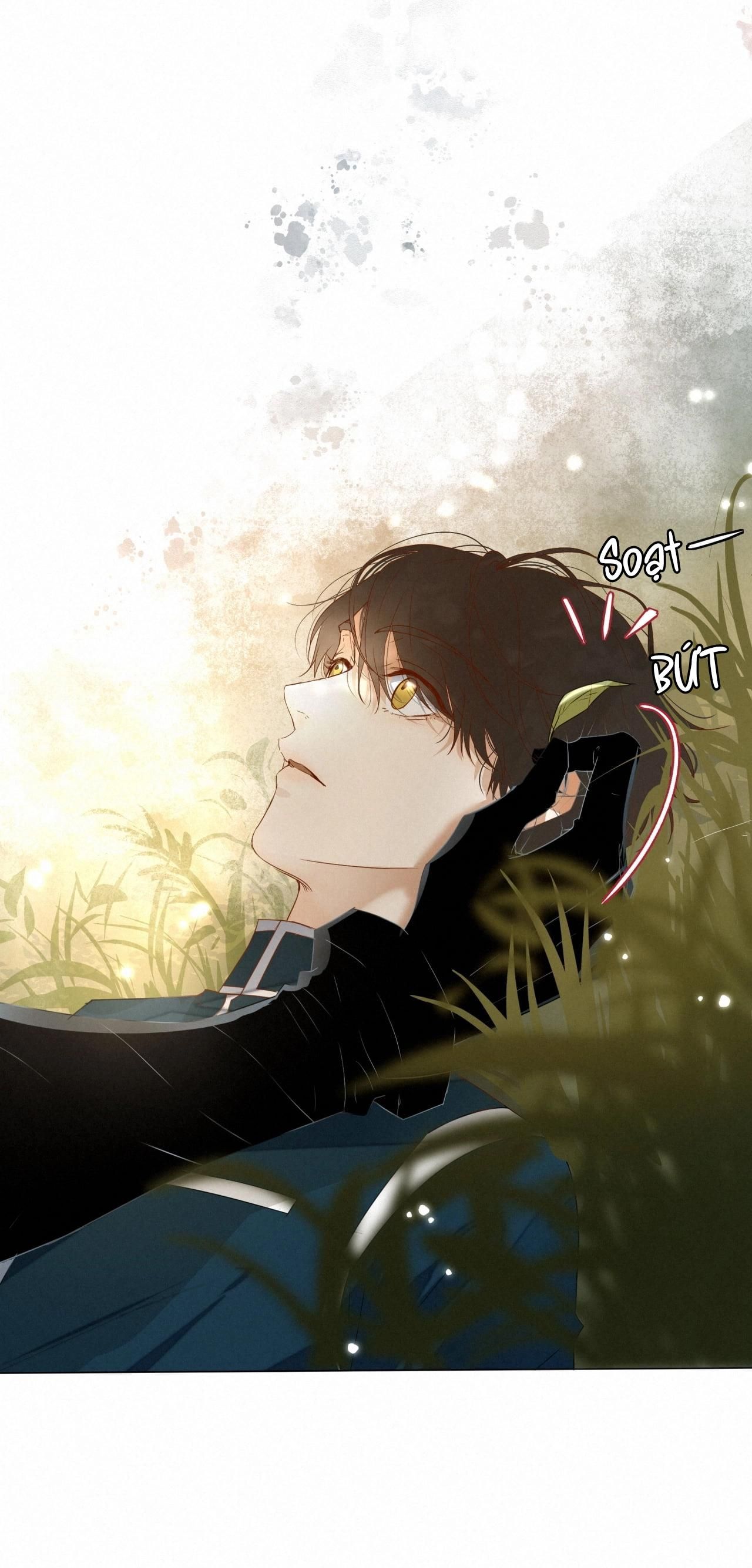 Trỗi Dậy Từ Tro Tàn Chapter 16 - Trang 6