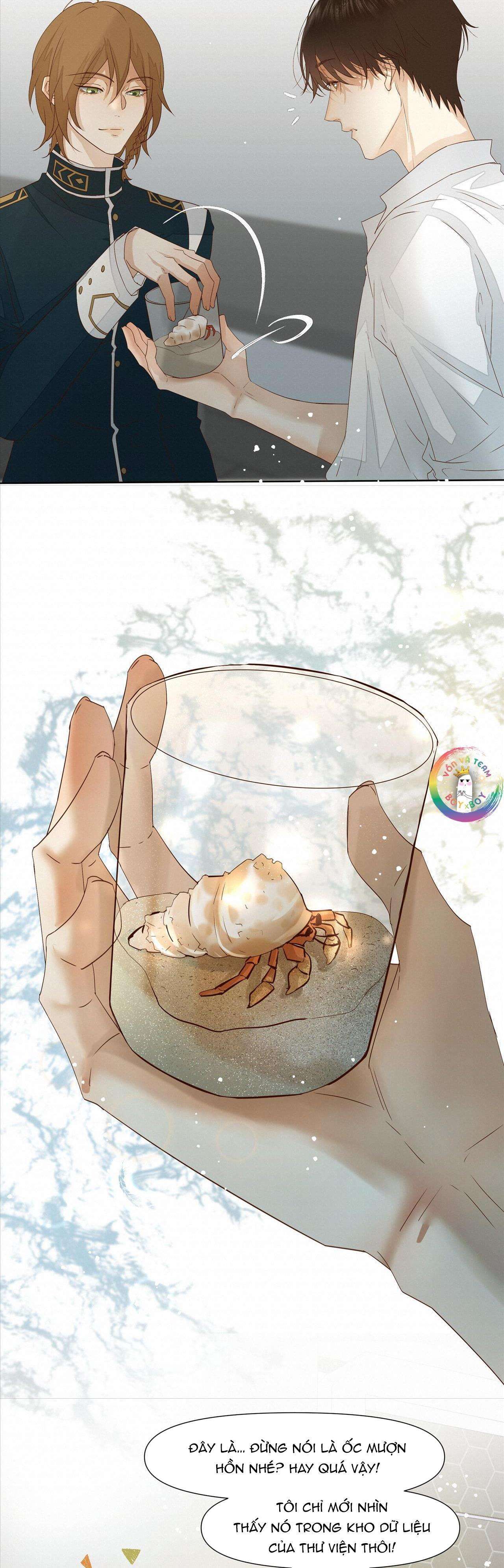 Trỗi Dậy Từ Tro Tàn Chapter 26 - Trang 20