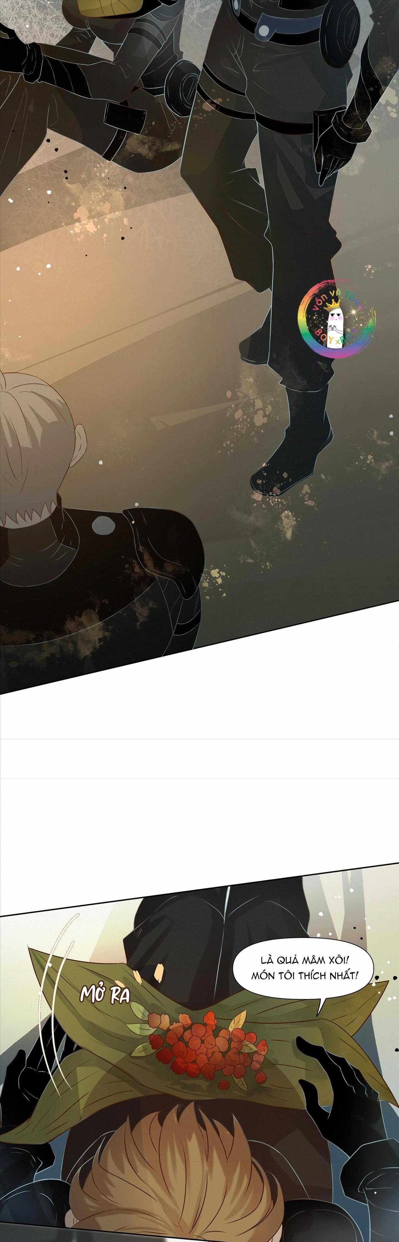Trỗi Dậy Từ Tro Tàn Chapter 39 - Trang 17